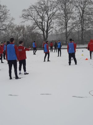 Foto des Albums: Trainingslager 1. Männer Tag 1 Güstrow