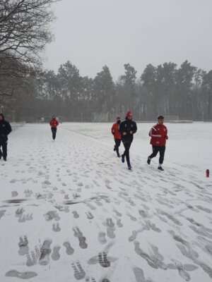 Foto des Albums: Trainingslager 1. Männer Tag 1 Güstrow