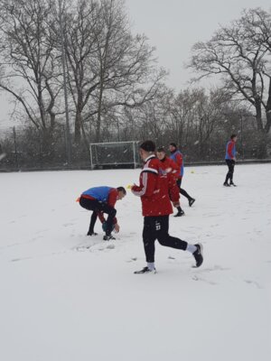 Foto des Albums: Trainingslager 1. Männer Tag 1 Güstrow