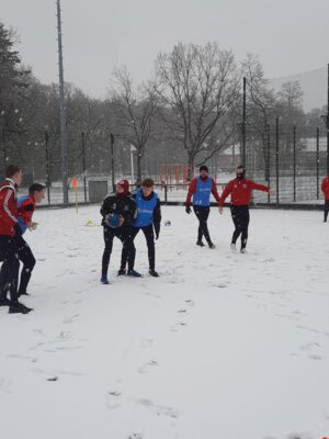 Foto des Albums: Trainingslager 1. Männer Tag 1 Güstrow