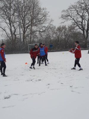 Foto des Albums: Trainingslager 1. Männer Tag 1 Güstrow
