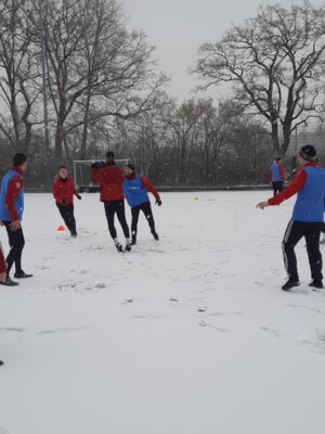 Foto des Albums: Trainingslager 1. Männer Tag 1 Güstrow