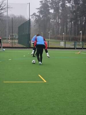 Foto des Albums: Trainingslager 1. Männer Tag 3 Güstrow