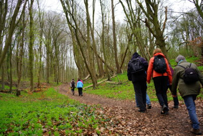 Steigung am Burgberg  (Bild vergr&ouml;&szlig;ern)