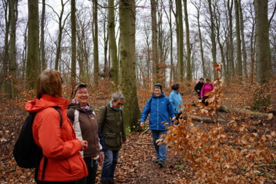 Burgberg - abw&auml;rts  (Bild vergr&ouml;&szlig;ern)