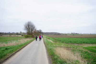 Im freien Feld - &uuml;ber Land  (Bild vergr&ouml;&szlig;ern)