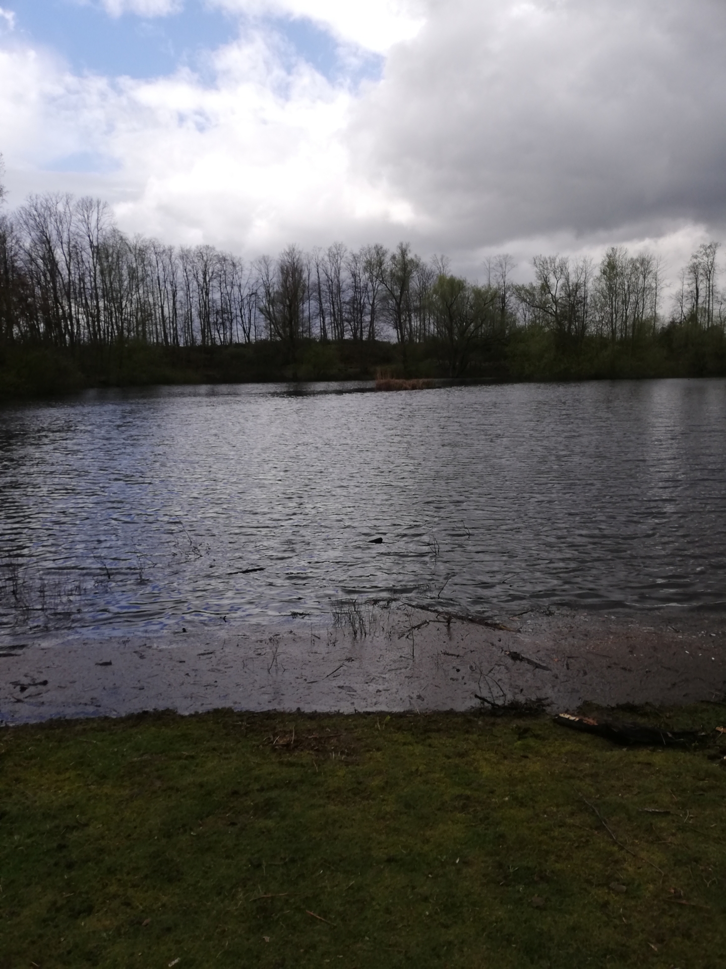 Bild: Hochwasser im Ententeich