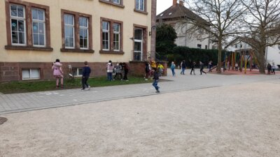 Foto des Albums: Ostereiersuche 2024