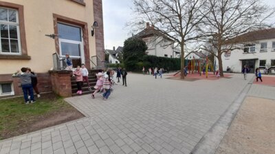 Foto des Albums: Ostereiersuche 2024