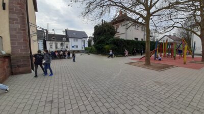 Foto des Albums: Ostereiersuche 2024