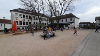 Foto des Albums: Ostereiersuche 2024