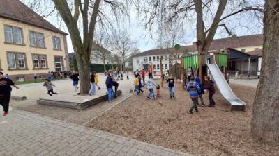 Foto des Albums: Ostereiersuche 2024