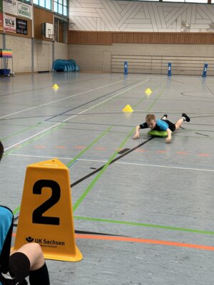 Foto des Albums: 