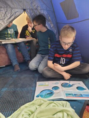 Foto des Albums: Lesewoche Klasse 4 - Sams Wal