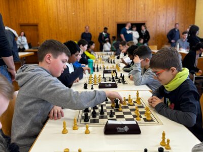 IMG-20240319-WA0001  (Bild vergr&ouml;&szlig;ern)