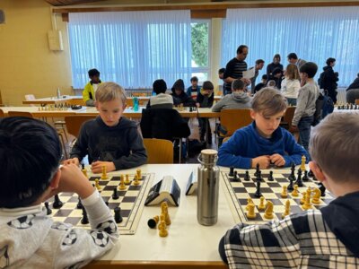 IMG-20240319-WA0010  (Bild vergr&ouml;&szlig;ern)