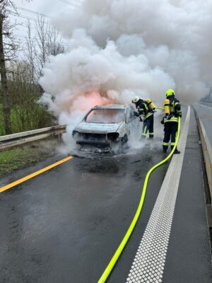 Foto des Albums: PKW-Brand A480