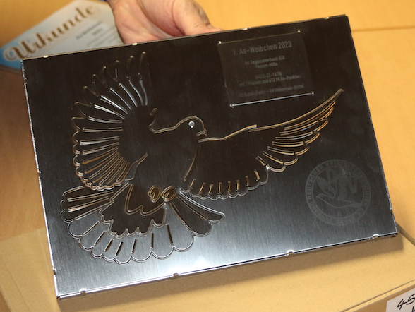 Bild: Ehrenpreis beste Taube (Vögel/Weibchen etc)