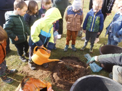 Foto des Albums: Patenschaft für einen Weihnachtsbaum (04. 04. 2024)