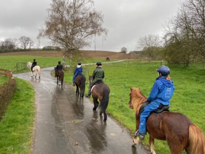 Foto des Albums: Pferdeführerschein Reiten 2024