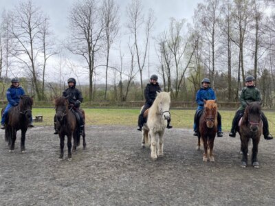 Foto des Albums: Pferdeführerschein Reiten 2024