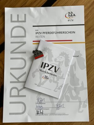 Foto des Albums: Pferdeführerschein Reiten 2024