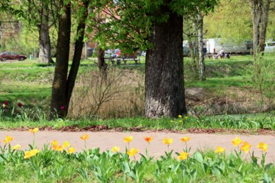 Foto des Albums: Frühling in Kyritz (08.04.2024)