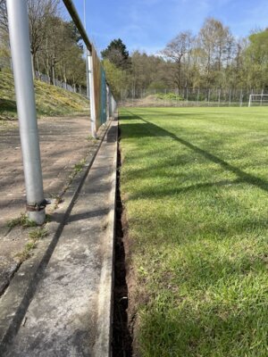 Foto des Albums: Arbeitseinsatz auf dem Sportplatz 06.04.2024