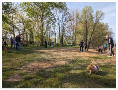 Foto des Albums: 06.04.2024_Roskow räumt wieder auf_Strand (10.04.2024)