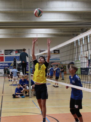 Foto des Albums: Landesfinale Volleyball 2024