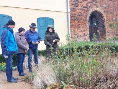 Foto des Albums: Workshop Rosenschnitt 16. März 2024 bei Regen (17.03.2024)