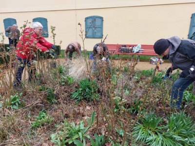 Foto des Albums: Workshop Rosenschnitt 16. März 2024 bei Regen (17.03.2024)