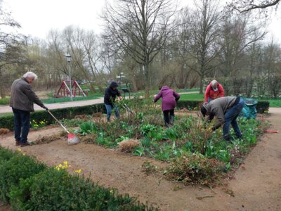 Foto des Albums: Workshop Rosenschnitt 16. März 2024 bei Regen (17.03.2024)