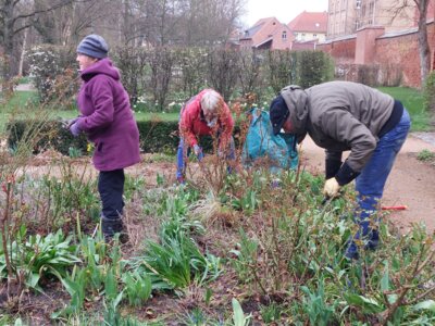 Foto des Albums: Workshop Rosenschnitt 16. März 2024 bei Regen (17.03.2024)