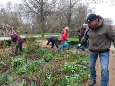 Foto des Albums: Workshop Rosenschnitt 16. März 2024 bei Regen (17.03.2024)