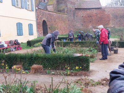 Foto des Albums: Workshop Rosenschnitt 16. März 2024 bei Regen (17.03.2024)