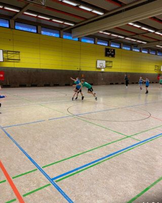 Foto des Albums: Saarlandmeisterschaften im Handball der Jungen 2024