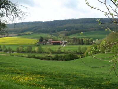 Rittergut Esbeck und Selter  (Bild vergr&ouml;&szlig;ern)