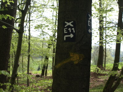 Wir sind auf dem rechten Weg!  (Bild vergr&ouml;&szlig;ern)