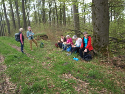 Mittagsrast  (Bild vergr&ouml;&szlig;ern)