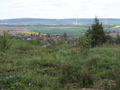 Wetteborn  (Bild vergr&ouml;&szlig;ern)