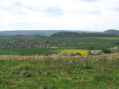 Heckenbeck  (Bild vergr&ouml;&szlig;ern)
