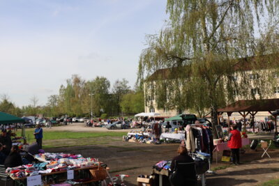 Foto des Albums: MGH-Flohmarkt (13.04.2024)