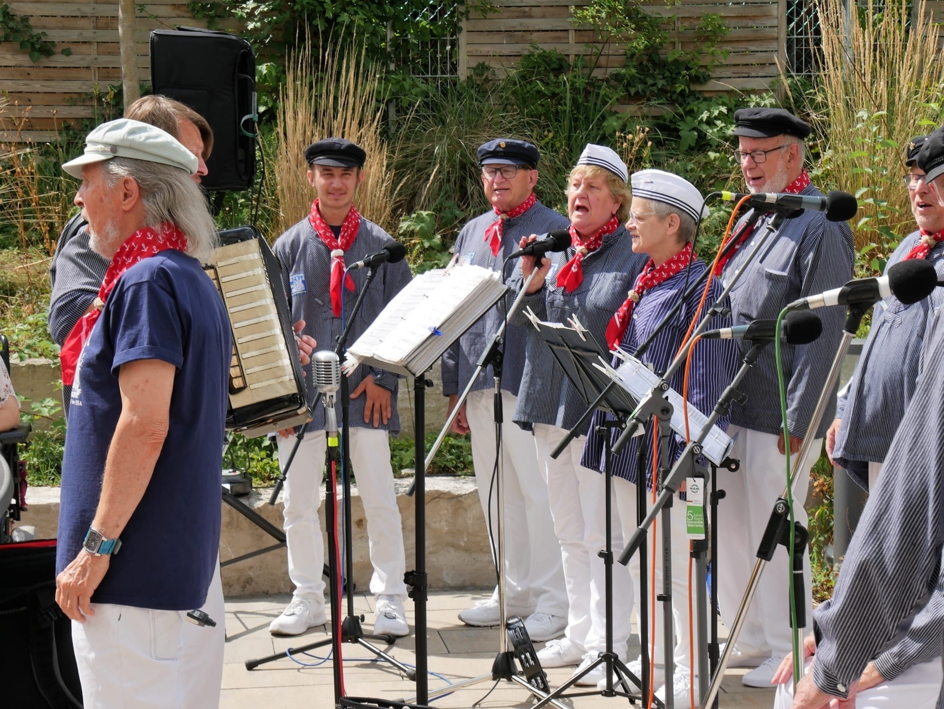 Bild: Kleine Möwe flieg nach Helgoland