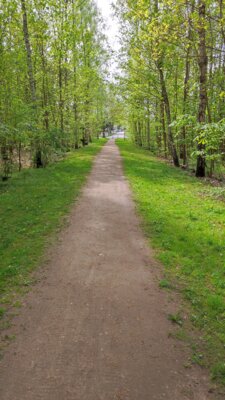 Foto des Albums: Frühjahrsputz am Naturlehrpfad 2024 (16. 04. 2024)