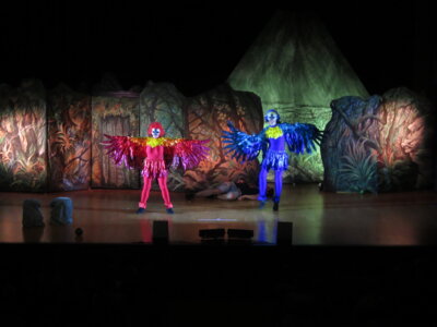 Foto des Albums: Robinson Junior – Das Familien-Musical