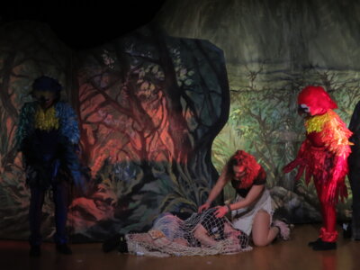 Foto des Albums: Robinson Junior – Das Familien-Musical