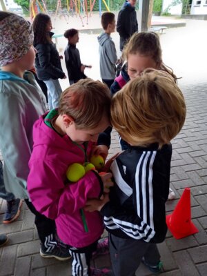 Foto des Albums: Sportmobil