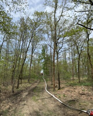 Foto des Albums: Waldbrand (14. 04. 2024)