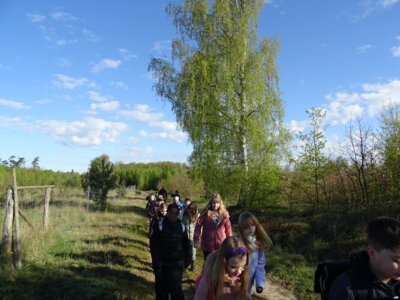 Foto des Albums: Waldolympiade 2024